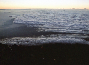 �x�m�R�@���]��