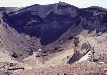 �x�m�R�@���]��