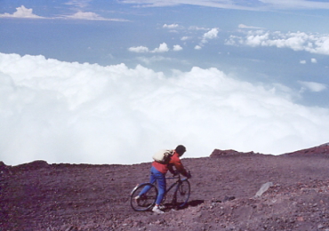 �x�m�R�@���]��