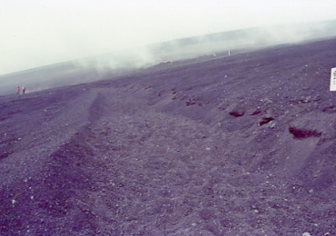 �x�m�R�@���]��