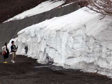 �x�m�R�@�X�L�[