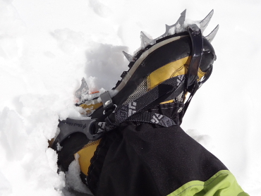 �x�m�R�@�X�L�[