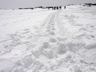 �x�m�R�@�X�L�[