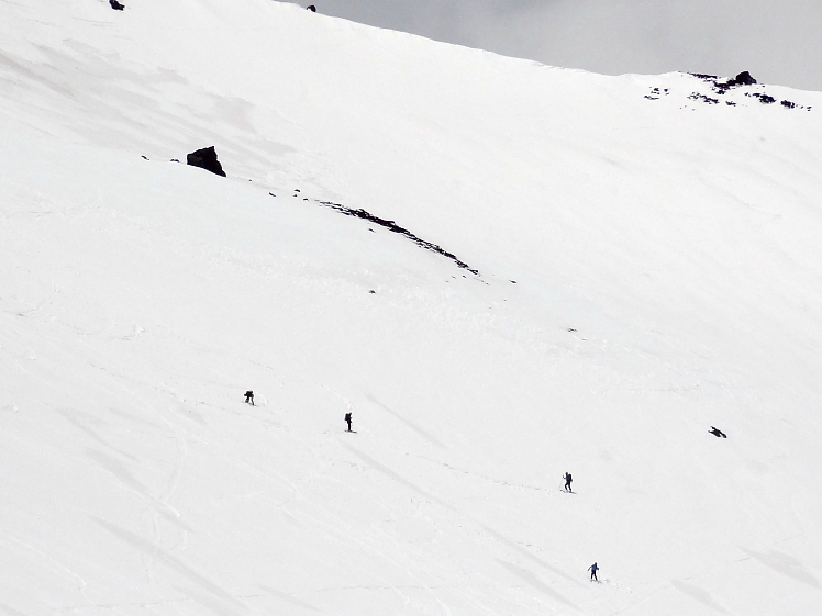 �x�m�R�@�X�L�[