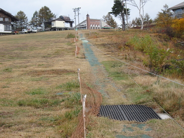 �O���X�X�L�[