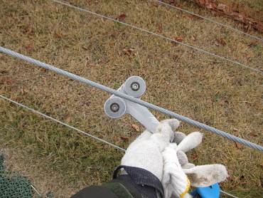 �O���X�X�L�[