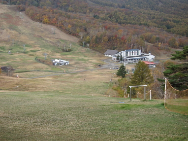 �O���X�X�L�[