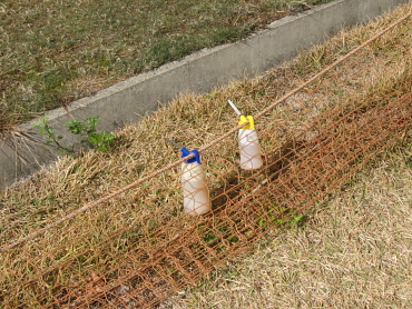 �O���X�X�L�[