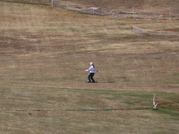 �O���X�X�L�[