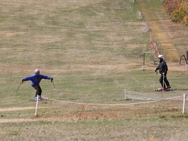 �O���X�X�L�[