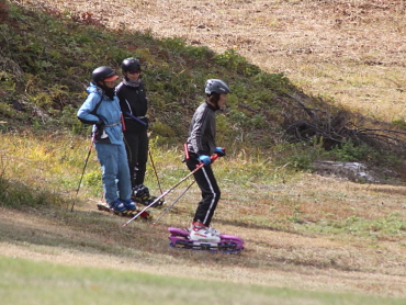 �O���X�X�L�[