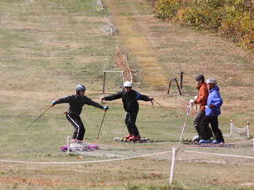 �O���X�X�L�[