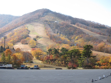 �����@�g�t