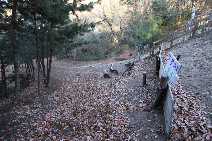 �����t�X�L�[