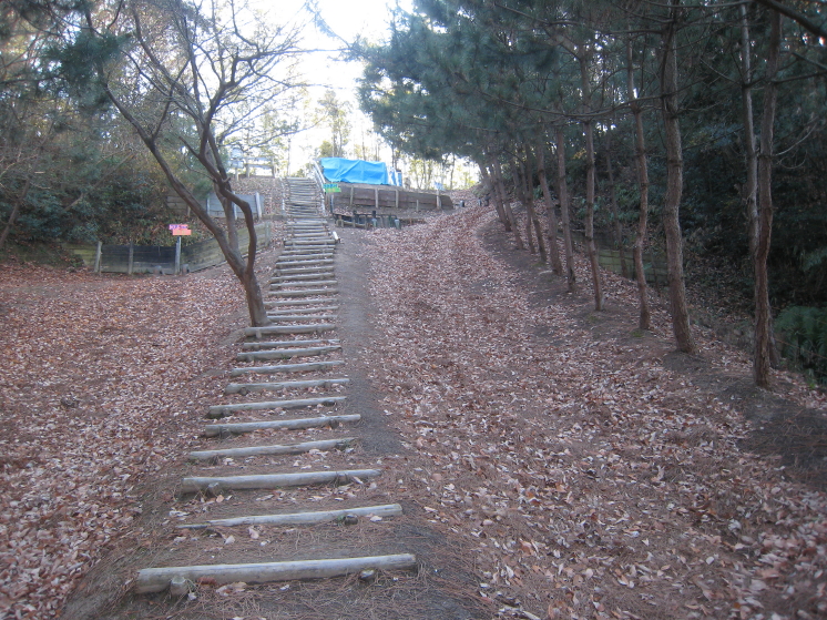 �����t�X�L�[