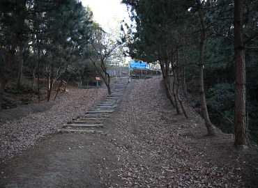 �����t�X�L�[