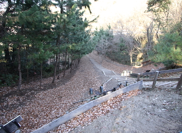 �����t�X�L�[