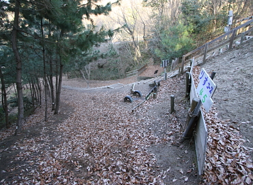 �����t�X�L�[