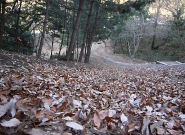 �����t�X�L�[