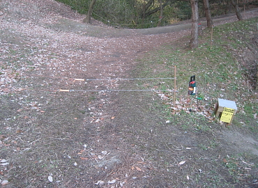 �����t�X�L�[