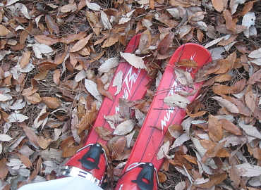 �����t�X�L�[