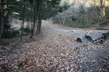 �����t�X�L�[