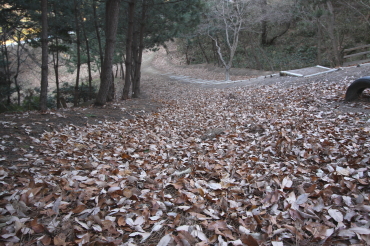 �����t�X�L�[�@����