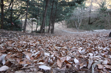 �����t�X�L�[