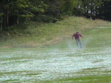 �ۏ��v���X�m�[�@�X�L�[