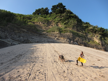 �T���h�X�L�[