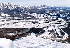 ����n�C�����h