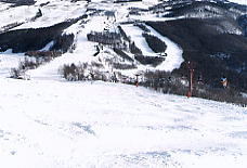 ����n�C�����h