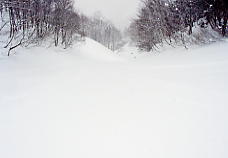 �z���C�g�o���[