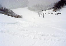 �z���C�g�o���[