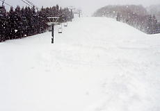 �z���C�g�o���[