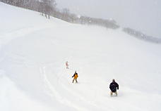 �z���C�g�o���[