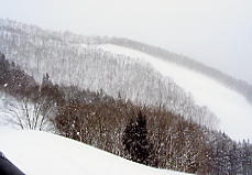 �z���C�g�o���[