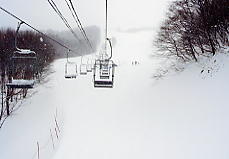 �z���C�g�o���[