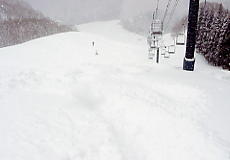 �z���C�g�o���[