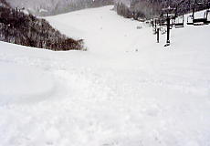 �z���C�g�o���[