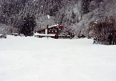 �z���C�g�o���[