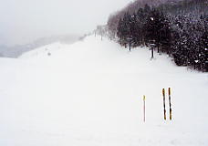 �z���C�g�o���[