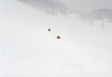 �z���C�g�o���[