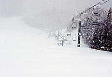 �z���C�g�o���[