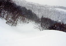 �z���C�g�o���[