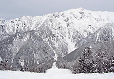 �V�䍂���[�v�E�F�C