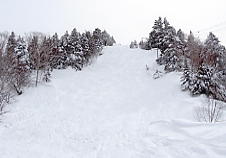 �V�䍂���[�v�E�F�C