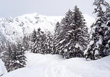 �V�䍂���[�v�E�F�C