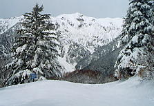 �V�䍂���[�v�E�F�C