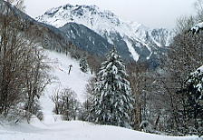 �V�䍂���[�v�E�F�C